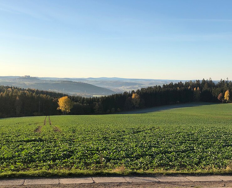 Blick vom Häsig (Wilfried Wußling)