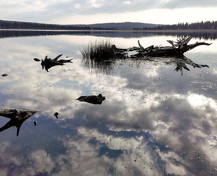 Blick auf Galgenteich (Campingplatz Galgenteich)