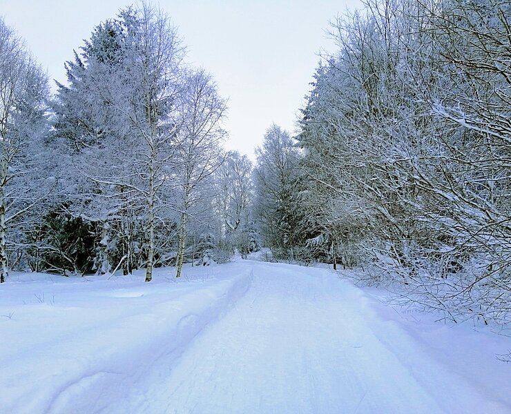 Winterwanderung rund um den Großen Galgenteich ()