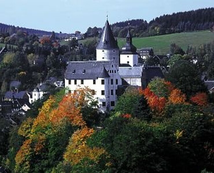 Schloss Schwarzenberg ()