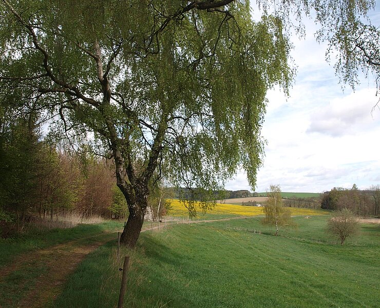 Dittmannsdorfer Flur (Matthias Drechsel)