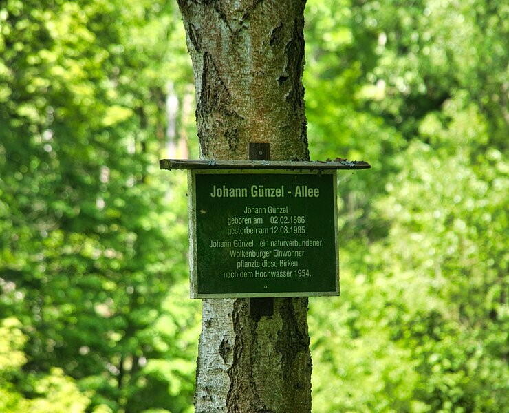 Infotafel Johann Günzel - Allee (Bastian Rakow)