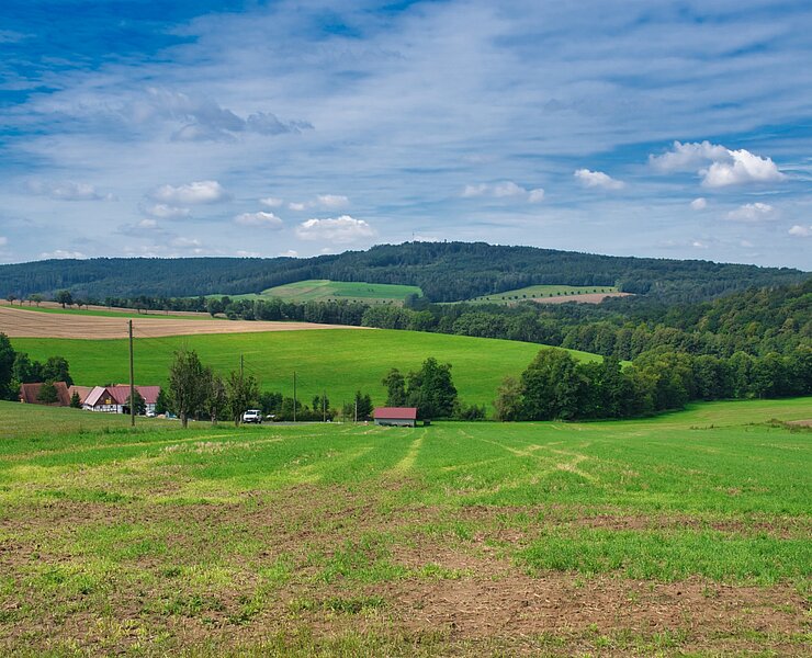 Blick auf den Rochlitzer Berg und die Zöllnitzer Mühle (Bastian Rakow)