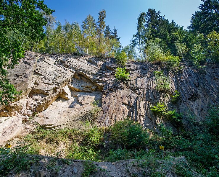 Porphyrfächer Mohorn-Grund (Robert Michael)