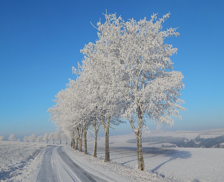 Winter am Schwartenberg (Undine Weise, Gemeinde Neuhausen)