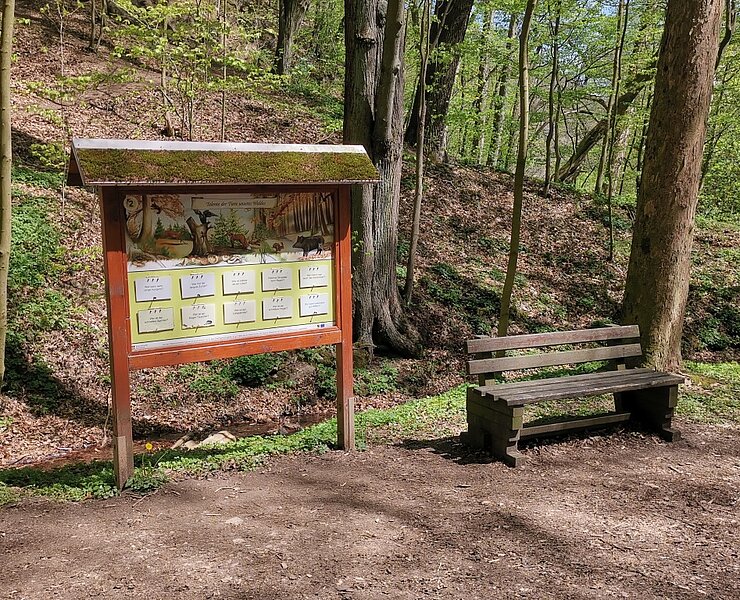 Walderlebnispfad Wechselburg - Station 2 (Bastian Rakow)