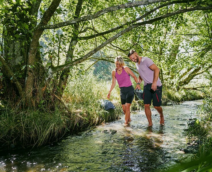 Kammweg Naturvariante - Tetterweinbachtal bei Adorf ()
