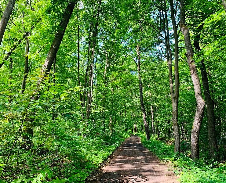 Wanderweg am Floßgraben (Ines Schieck)