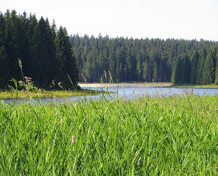 Rastplatz mit Blick auf die Talsperre ()