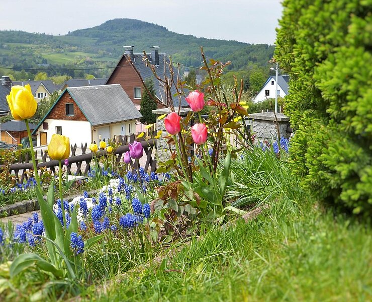 Garten ()