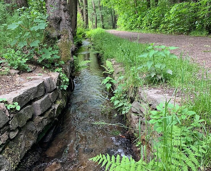 Wanderweg am Floßgraben (Ines Schieck)