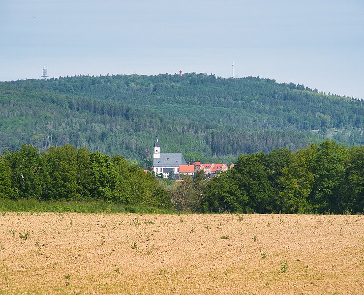 Cossen - Blick auf den Rochlitzer Berg mit Wechselburg (Bastian Rakow)