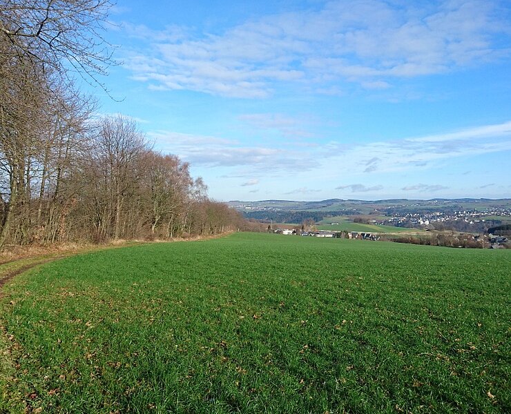 Rund um Falkenbach (Online TVE)