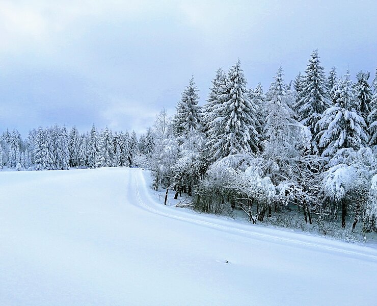 Loipe L2 - Winter ()