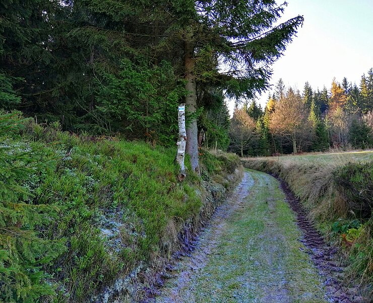 Kreuzweg in Neu-Rehefeld - Wandern ()