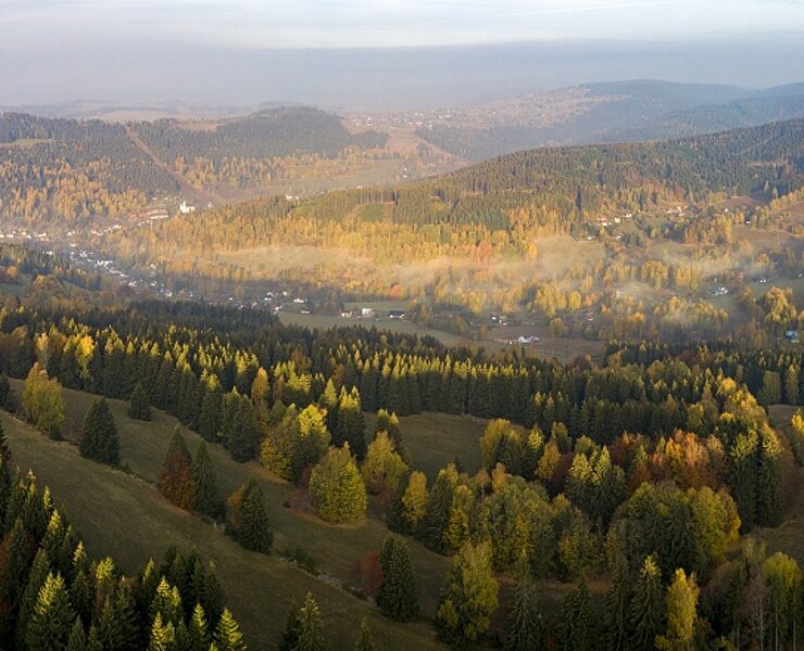 Silber (Petr Mikšíček)