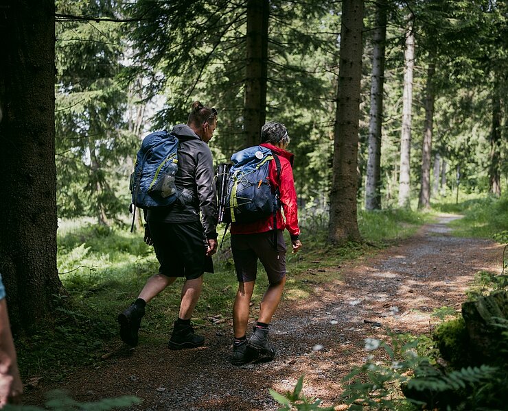 Wanderung im Miriquidi (Dirk Rückschloss)