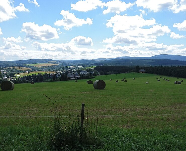 Bärenstein/Weipert (Online TVE)