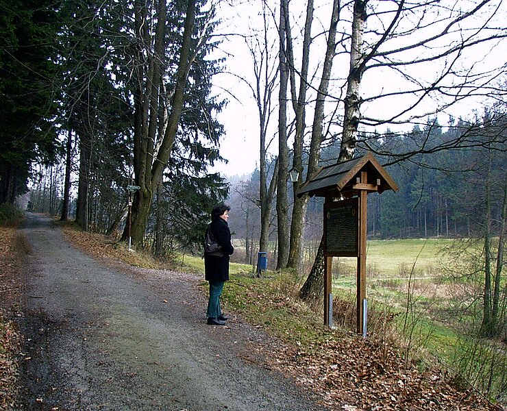 Im Bärenbachtal (Matthias Drechsel)
