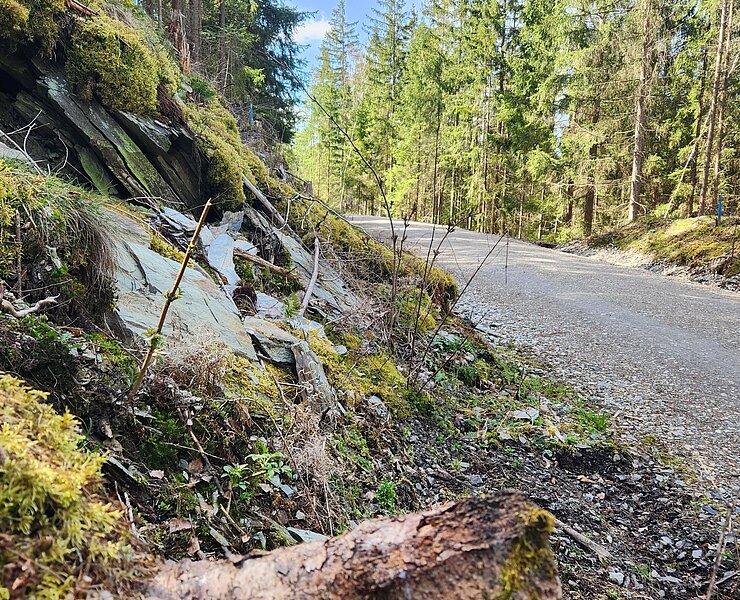  (Steffen Thränert, Natur- und Landschaftsführer)