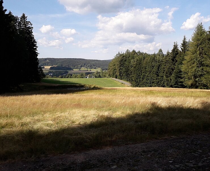 Ausblick (Karin Beer)