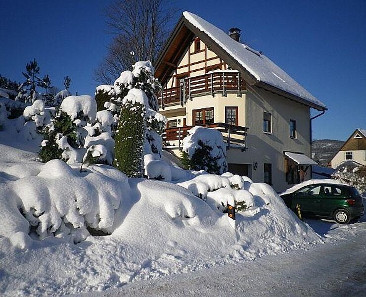 Haus im Winter ()