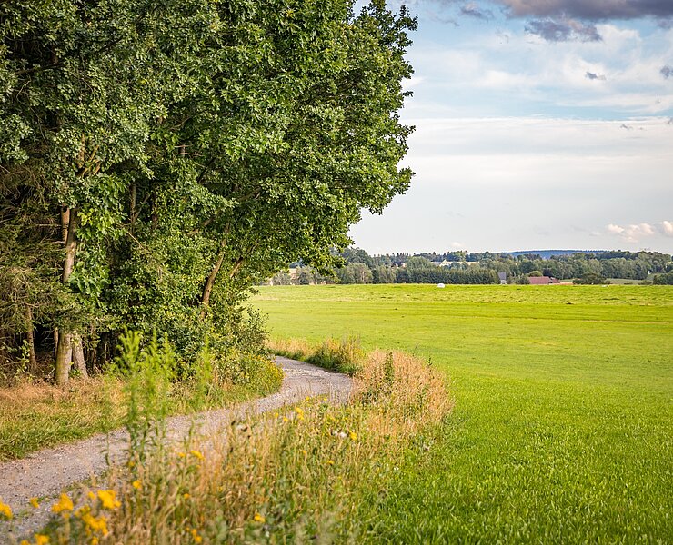 Ackersäume - Lebensräume (Eric Fresia, Fresia Photography)