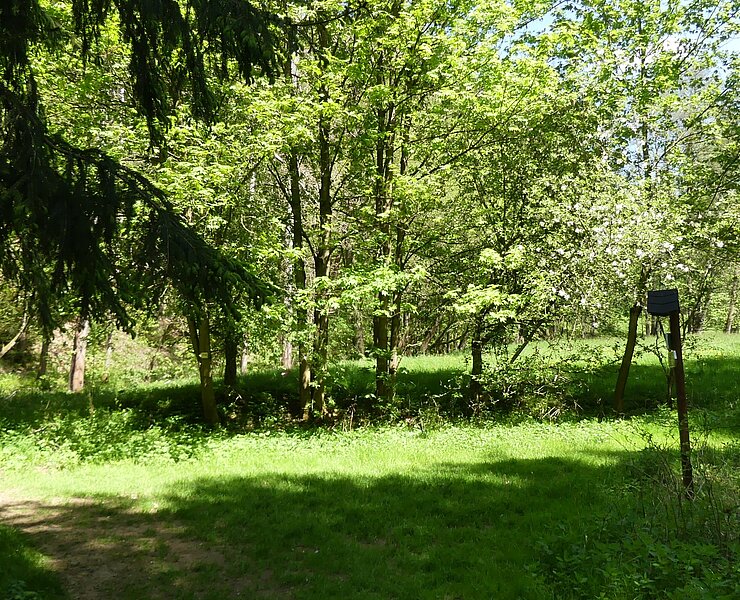  (Steffen Thränert, Natur- und Landschaftsführer)