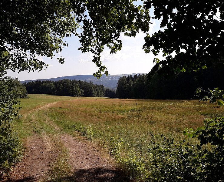 Blick nach Bernsbach und Oberpfannenstiel (Karin Beer)