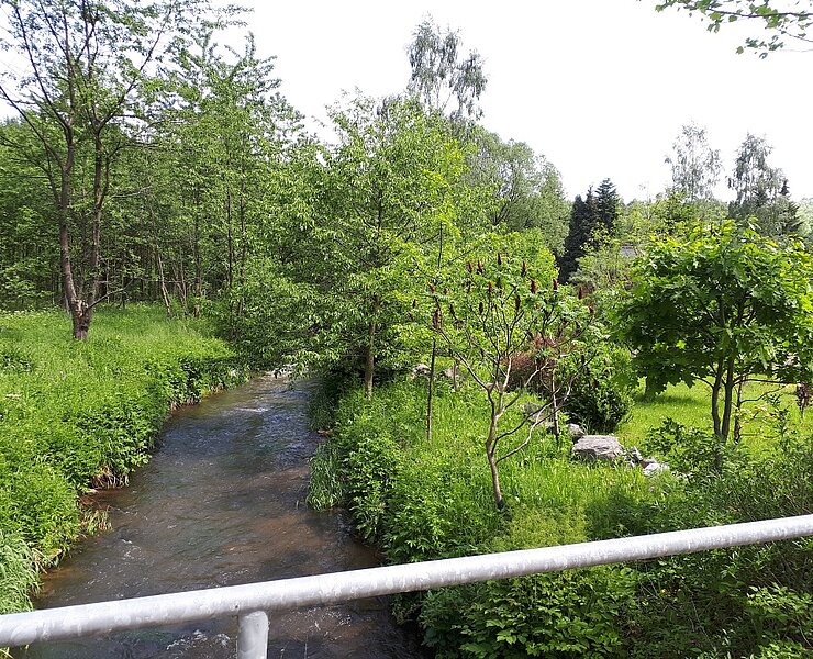Am Pöhlwasser in Kühberg (B. Knöbel)