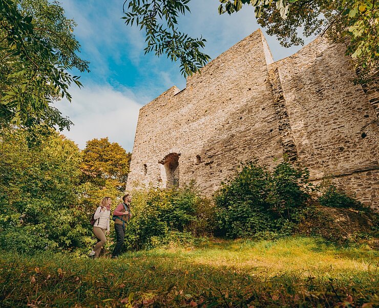 Kammweg Etappe 16 Burgstein Ruine ()