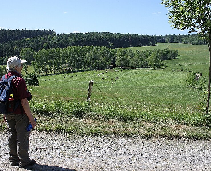 Talblick Bermsgrün (Birgit Kn&ouml;bel&nbsp;)