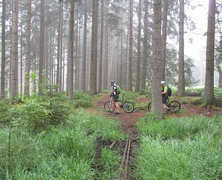 Waldstück bei Raeren (Thomas Ritter)