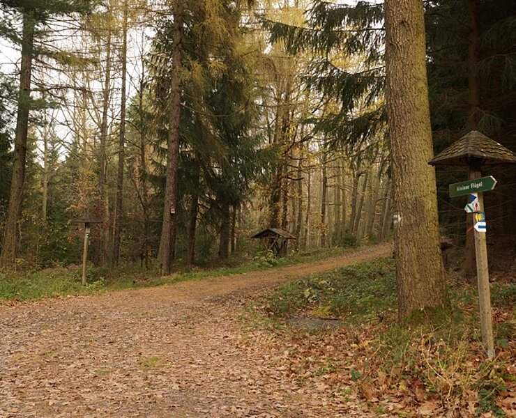 Kleiner Flügel (Kirchberger Natur und Heimatfreunde des Naturschutzbundes Deutschlands Ortsgruppe Kirchberg e.V.)