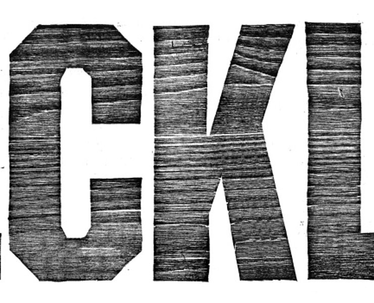 Blockline Logo ()