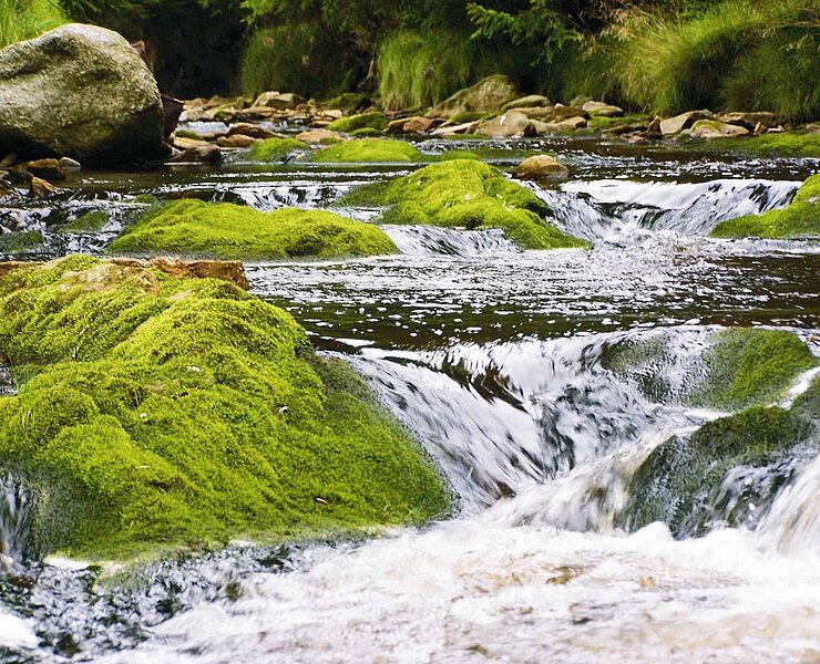 im Tal der Schwarzen Pockau (Birgit Knöbel)