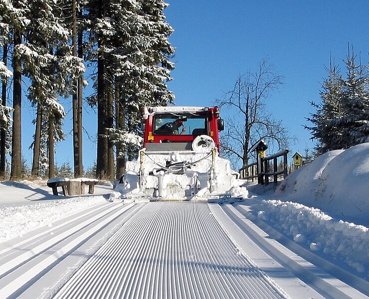  (Henry Pansch)