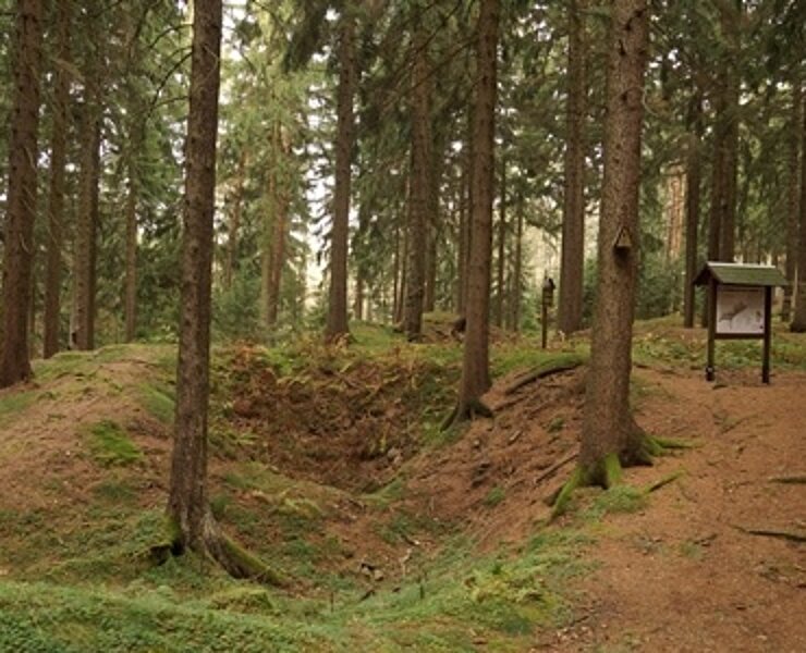 Pingen und Überreste einer befestigten Bergbausiedlung (Kirchberger Natur und Heimatfreunde des Naturschutzbundes Deutschlands Ortsgruppe Kirchberg e.V.)