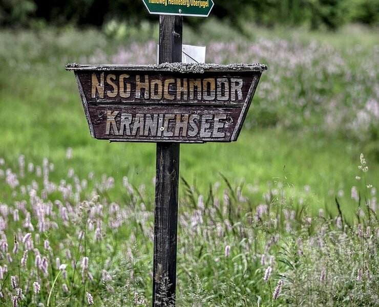 am Naturschutzgebiet Kleiner Kranichsee (M. Müller)