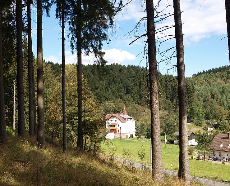 Das Natzschungtal (Matthias Drechsel)