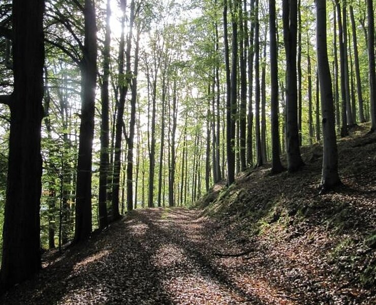 Auf dem Kammweg zum Stösserfelsen ()