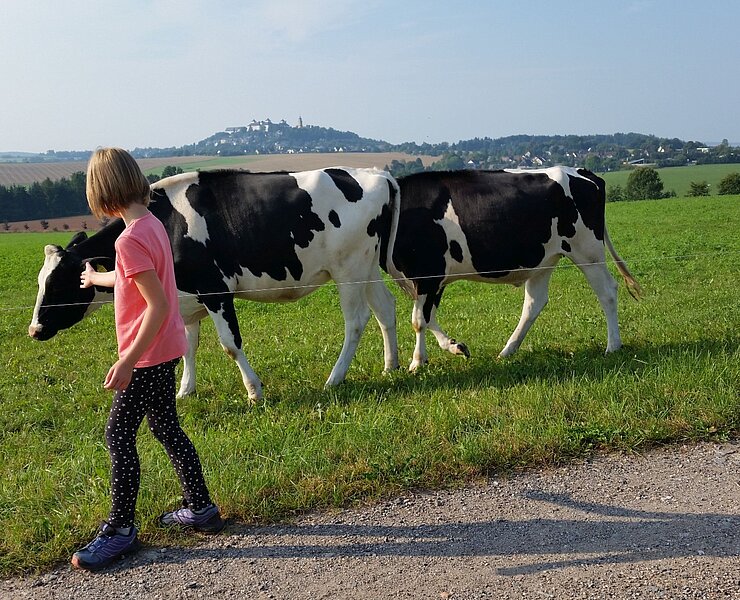 Tierische Begegnungen (Doreen Fiebig)