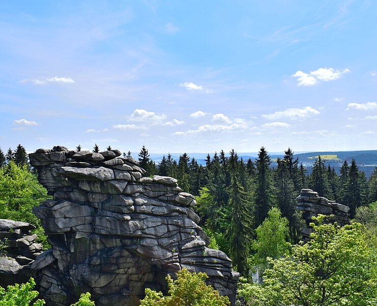 Greifensteine Ausblick im Sommer (Corinna Bergelt)