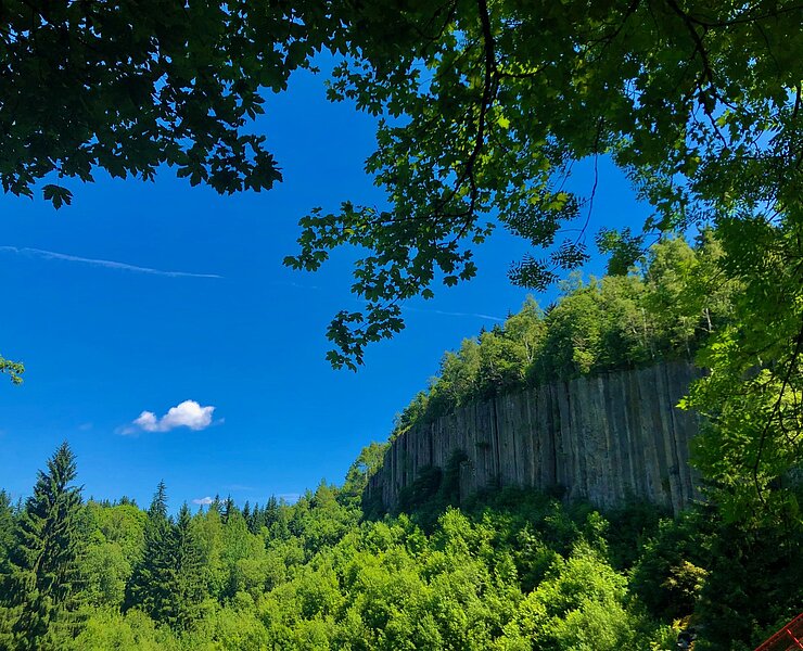 Blick auf die Orgelpfeifen am Scheibenberg (Andreas Göbel)