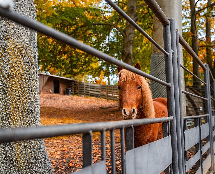 Tierpark Geithain (Oliver Göhler)