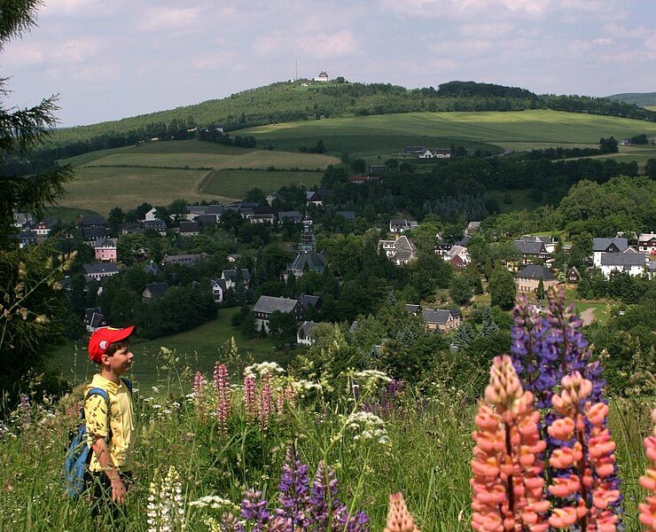  (Ute Florl)