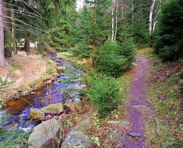 Wandern an der Roten Weißeritz Schellerhau ()