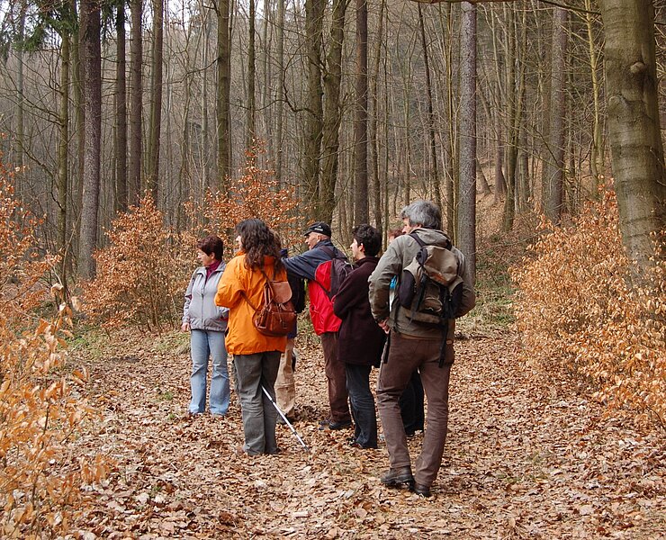 Wandergruppe (Matthias Drechsel)