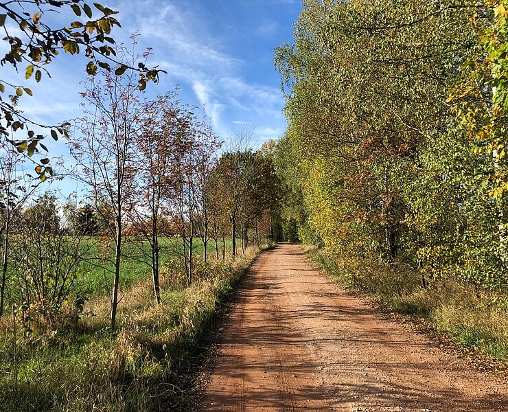 Eisenweg an der Tabakstanne in Thalheim (Vanessa Schüppel)