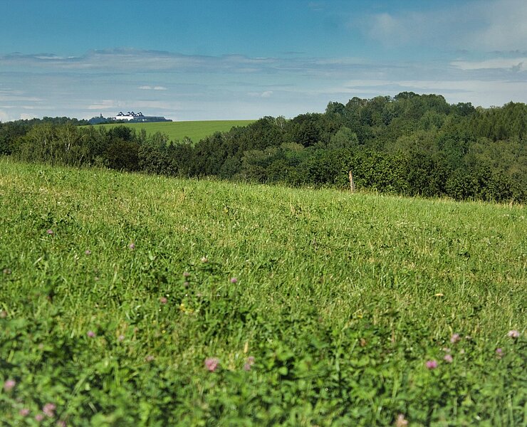 Blick auf Schloss Augustusburg (Anni Borrmann, TVE)